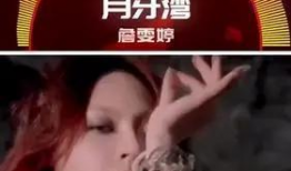 周董歌曲短视频怎么,重温经典旋律，探寻音乐背后的故事